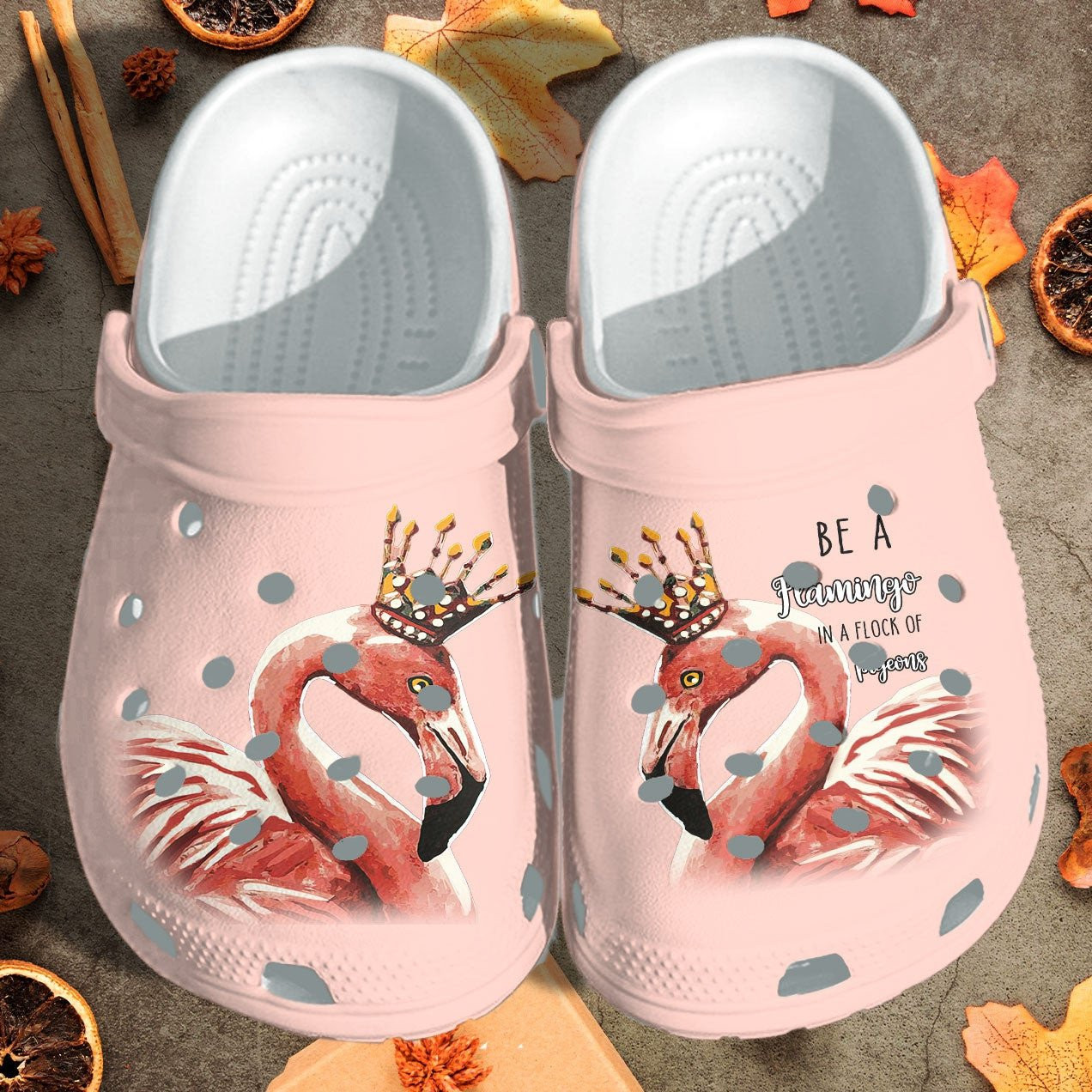Be A Flamingo In A Flock Of Pigeons Crocs Clogs Shoes Gift For Girl