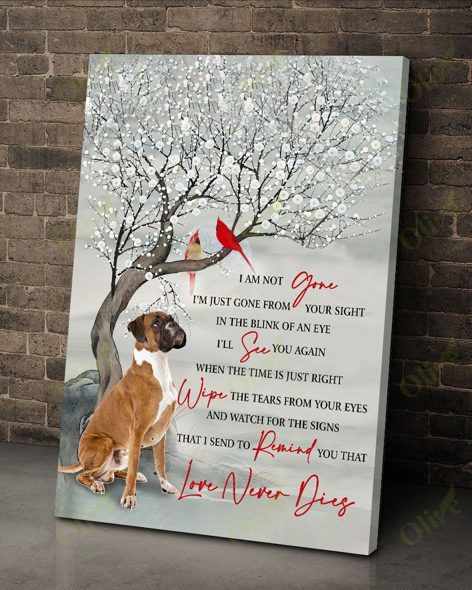 Boxer - I Am Not Gone Poster And Canvas Art Wall Decor