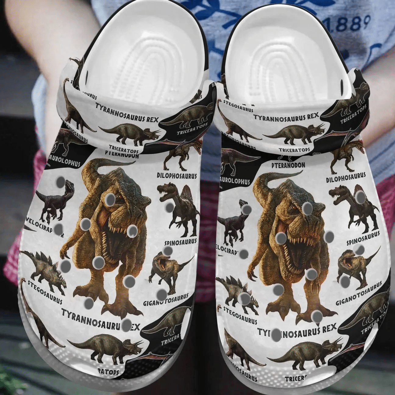 Dinosaur Personalize Clog Custom Crocs Fashionstyle Comfortable For Women Men Kid Print 3D Dinosaur Knowledge