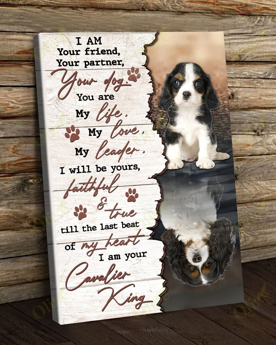 I Am Your Amazing Cavalier King Poster And Canvas Art Wall Decor