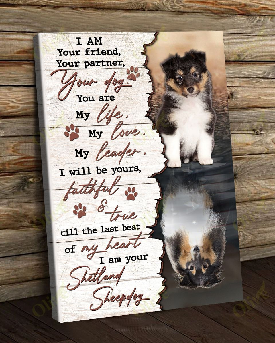 I Am Your Amazing Shetland Sheepdog Poster And Canvas Art Wall Decor