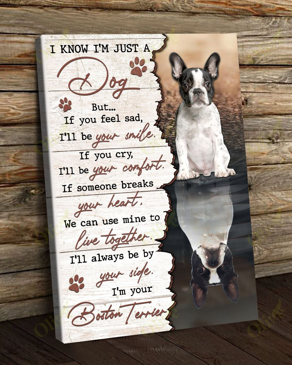 I'm Your Amazing Boston Terrier Poster And Canvas Art Wall Decor