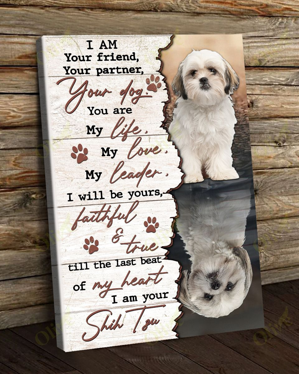 I'm Your Amazing Shih Tzu Poster And Canvas Art Wall Decor