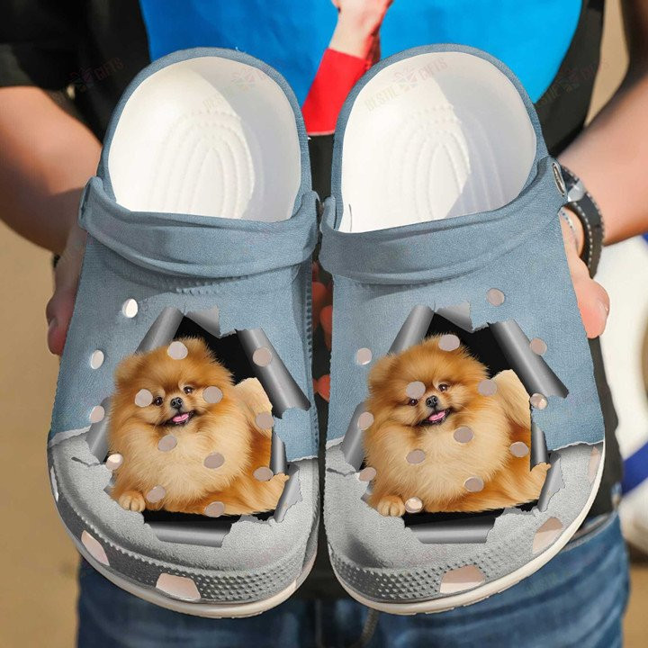 Pomeranian Hello Crocs Classic Clogs Shoes