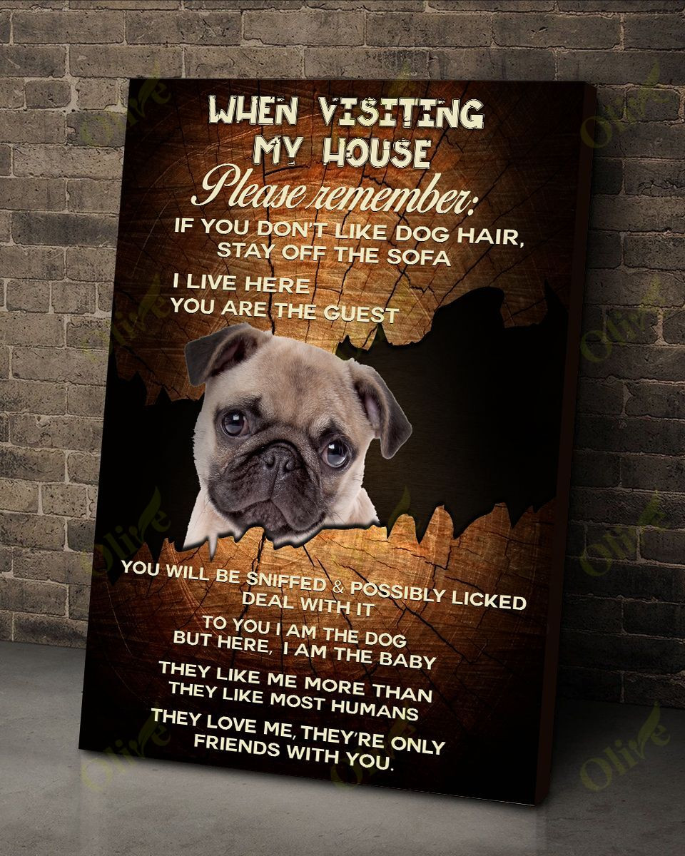 Pugs - Rules When Visiting My House 2 Poster And Canvas Art Wall Decor